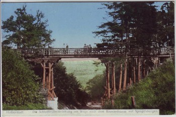 AK Halberstadt Die Schlucht-Überbrückung am Wege nach dem Bismarckturm auf Spiegelsbergen 1912