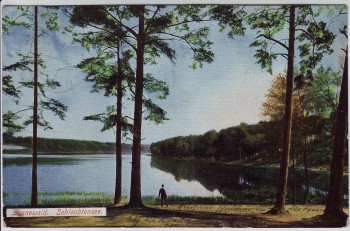 AK Berlin Grunewald Blick auf Schlachtensee 1907