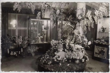 AK Foto Sebnitz Blumenschau VEB Kunstblume Verkauf und Ausstellung Sachsen 1960