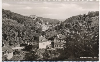 AK Foto Blankenheim / Ahr Ortsansicht mit Cafe-Restaurant Zur Ahrquelle 1960