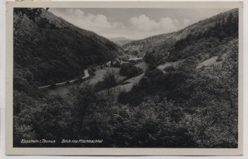 AK Foto Eppstein im Taunus Blick ins Fischbachtal 1943