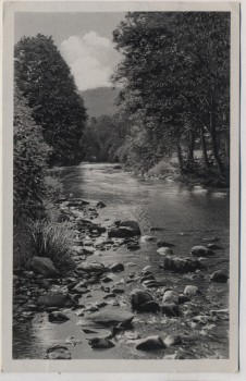 VERKAUFT !!!   AK Foto Oberweißbach Thüringer Wald In der Nähe der Bergbahn 1956