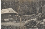 VERKAUFT !!!   AK Waldtheater Oybin Waldkönigs Hochzeit Märchenspiel 1910